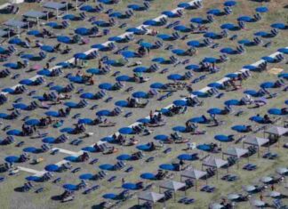 Spiagge concessioni balneari decreto